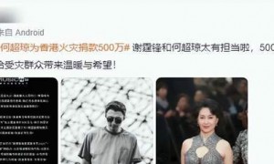 四大家族为火灾捐款！李嘉诚超其他三大家族，谢霆锋何超琼500万