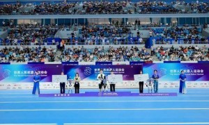 明年将发生史上最凶的「机器人大战」？