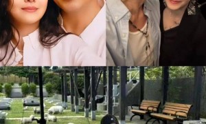 大S的墓碑刻字“永远在一起”，墓地前的草坪已经被踩变颜色