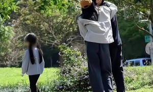 虽然都是45岁，高圆圆看上去不太自然，董洁被网友评价老得像58岁