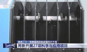 首次应急发射！神舟二十二号飞船发射圆满成功！飞船上装了啥？怎么装？一文揭秘