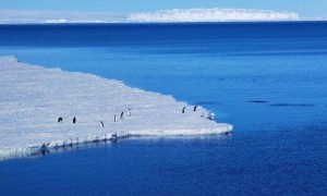 原创 
            世界上最大的无主领土，面积比中国还大，日本已经开始谋略布局