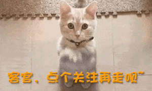 央视中秋晚会阵容官宣，任鲁豫大气，侯佩岑专业，谢娜让人想不到