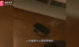 网友称其小米13手机未充电自燃冒白烟，官方客服回应