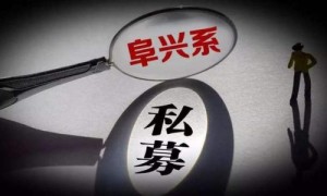 原创 
            阜兴案新进展:意隆财富总经理、副总经理被批捕 共计15人被批捕