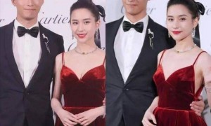 向太曝窦骁何超莲婚变细节,男方被曝索要8000万,更多内幕曝光!