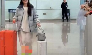 王诗龄频繁现身北京机场,父母动向成谜,神秘行李箱引路人围观