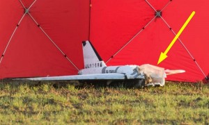 波兰出兵乌克兰,4万大军堵俄罗斯家门口,以无人机为由,军事介入俄乌冲突!