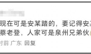 蔡国强烟花事件升级!被曝致敬西方艺术,活动曾被法国日本拒绝