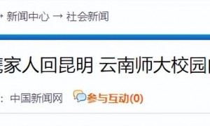 原创 
            杨振宁父亲有多牛!民国数学天才,教育观奇特,到死都没原谅儿子